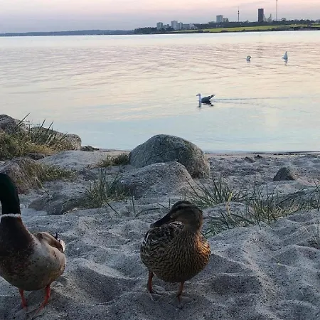 Ostseeperle Mit Kostenfreier Saunanutzung, Grundstück Umzäunt *